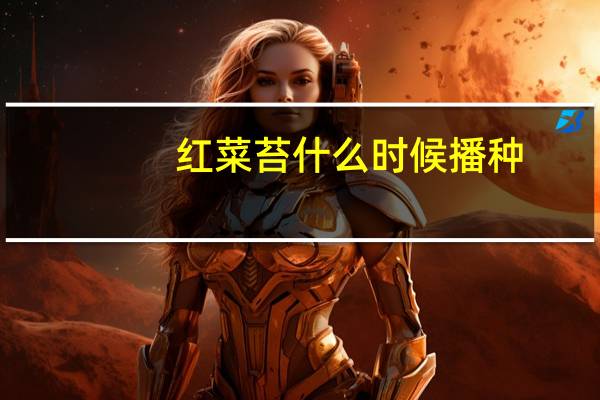 红菜苔什么时候播种