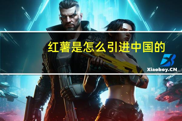红薯是怎么引进中国的