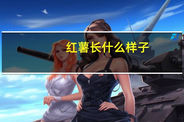 红薯长什么样子