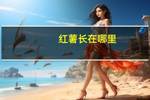 红薯长在哪里