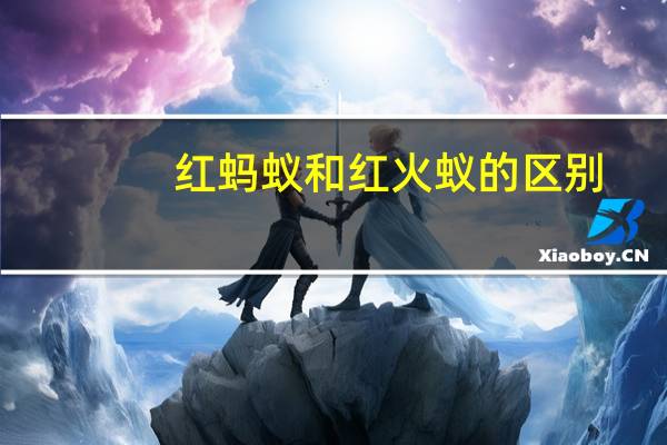 红蚂蚁和红火蚁的区别