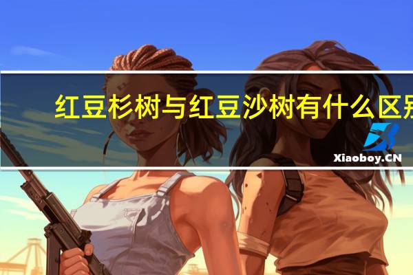 红豆杉树与红豆沙树有什么区别