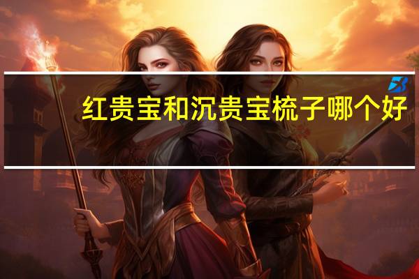 红贵宝和沉贵宝梳子哪个好