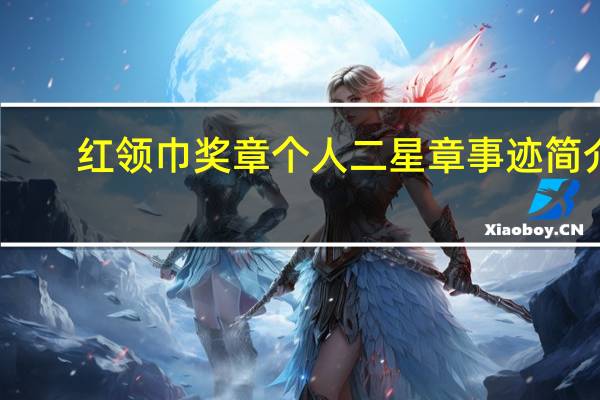 红领巾奖章个人二星章事迹简介