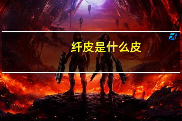 纤皮是什么皮