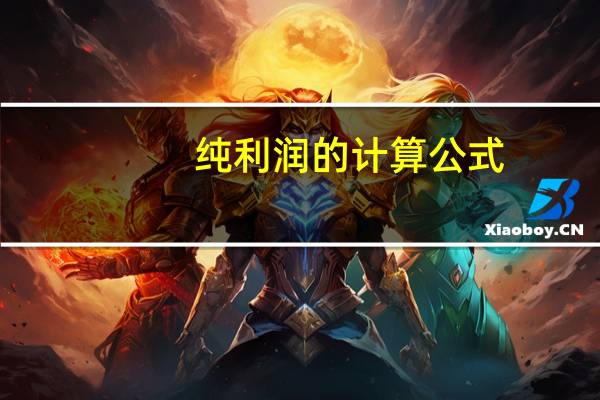 纯利润的计算公式