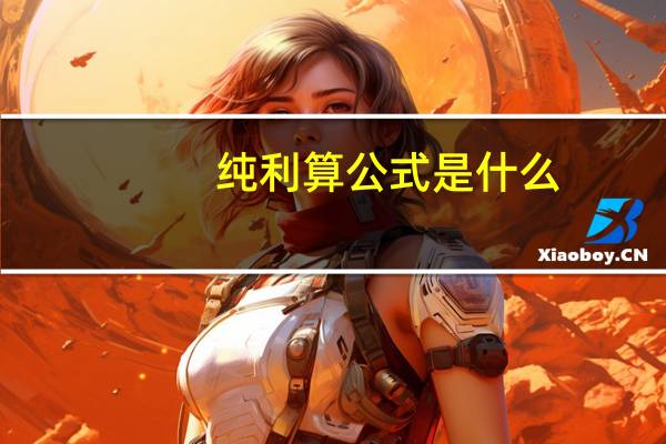 纯利算公式是什么