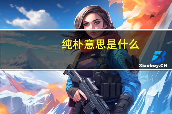 纯朴意思是什么