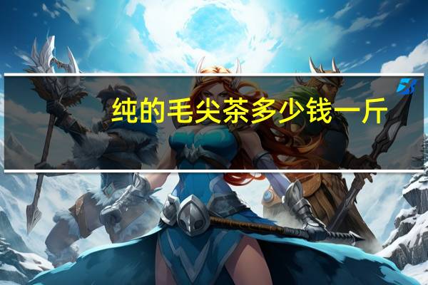 纯的毛尖茶多少钱一斤