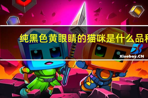 纯黑色黄眼睛的猫咪是什么品种