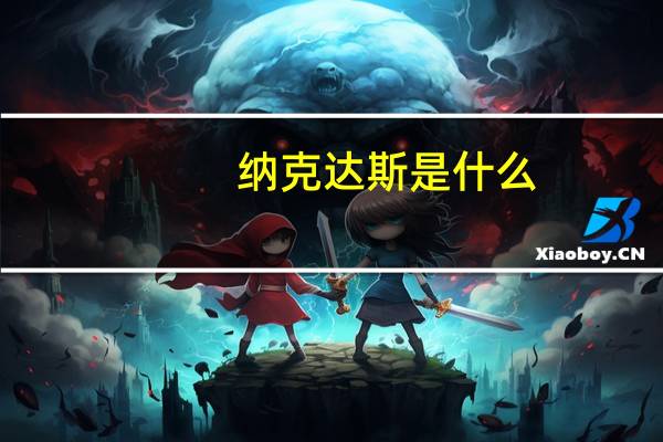 纳克达斯是什么