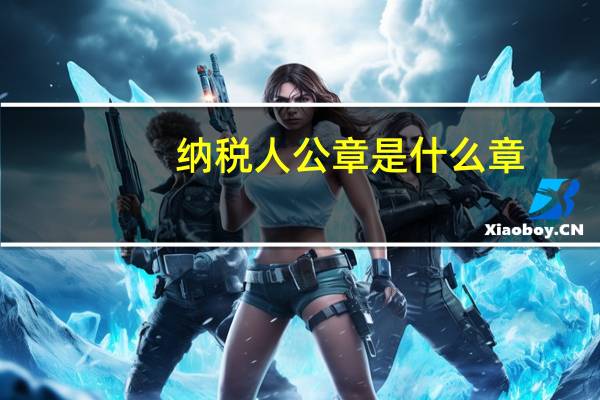 纳税人公章是什么章