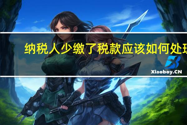 纳税人少缴了税款应该如何处理