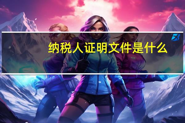 纳税人证明文件是什么