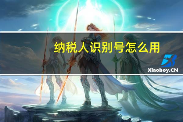 纳税人识别号怎么用