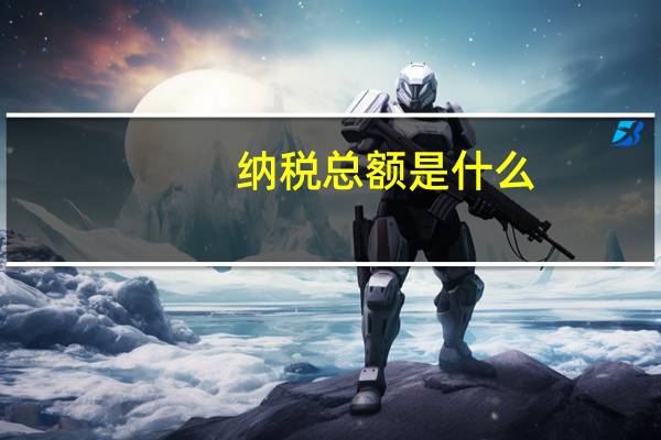 纳税总额是什么