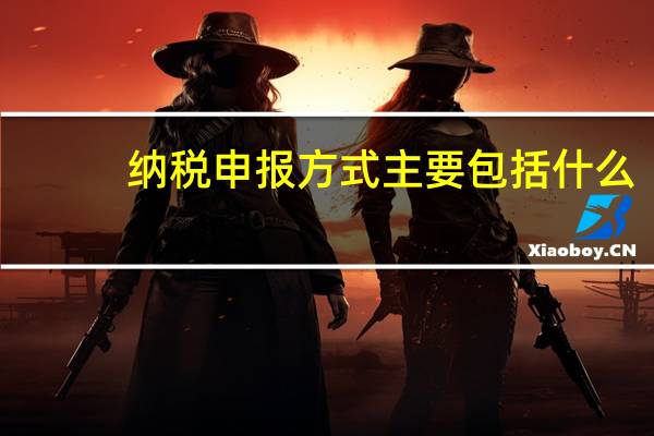 纳税申报方式主要包括什么