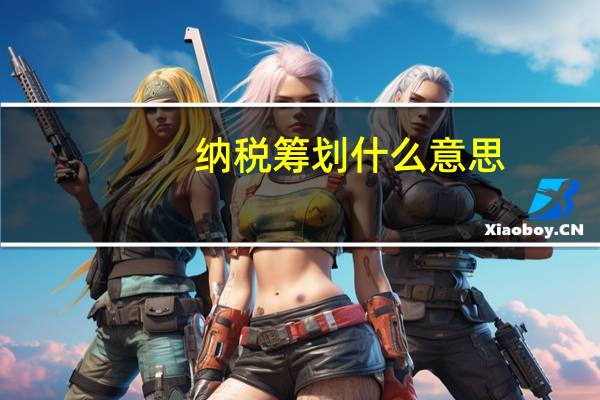 纳税筹划什么意思