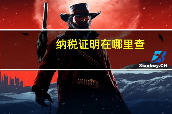 纳税证明在哪里查