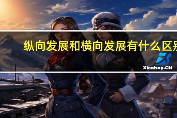 纵向发展和横向发展有什么区别