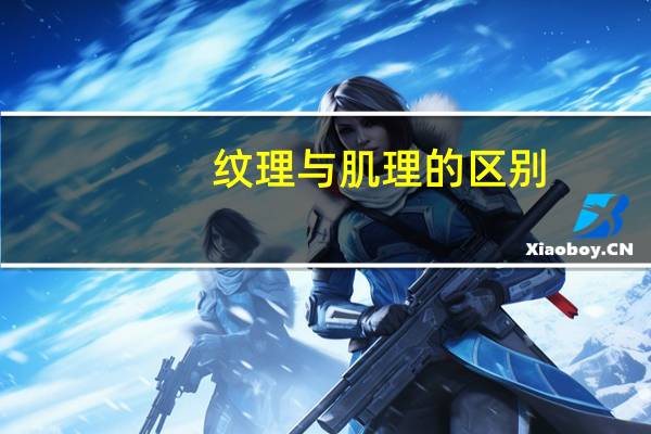 纹理与肌理的区别