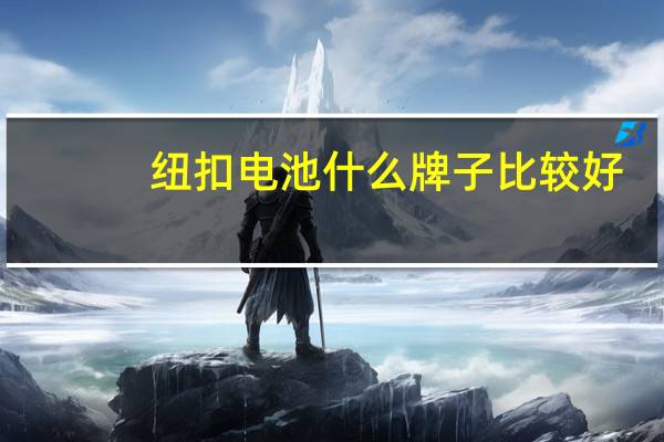 纽扣电池什么牌子比较好