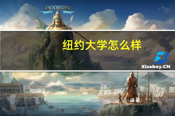 纽约大学怎么样