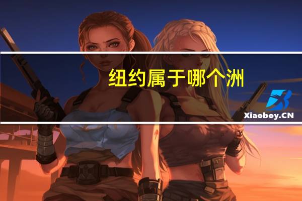 纽约属于哪个洲