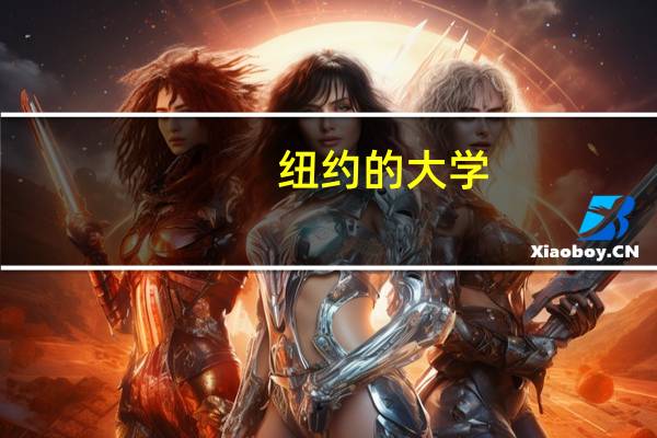 纽约的大学