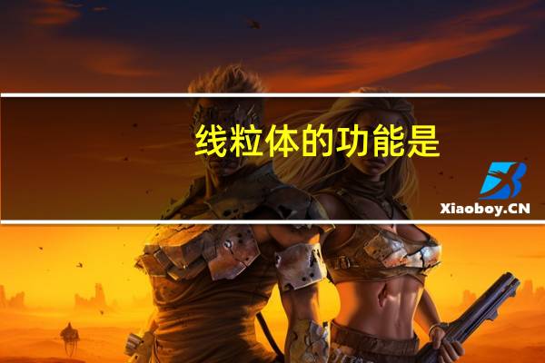 线粒体的功能是: