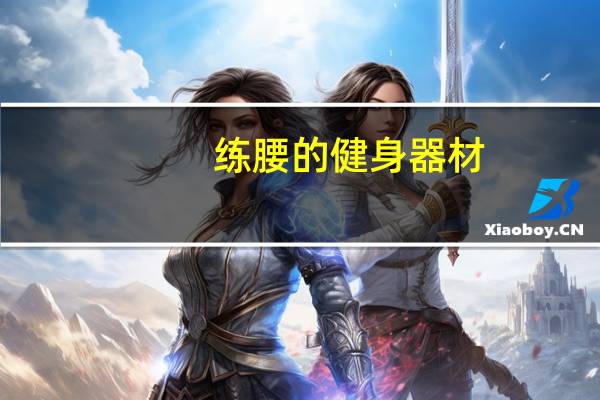 练腰的健身器材