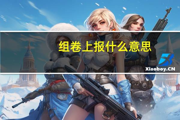 组卷上报什么意思