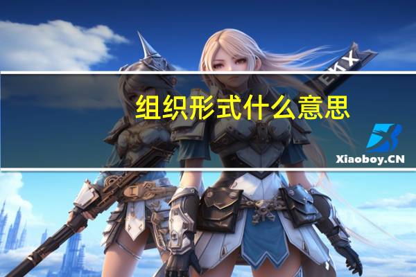 组织形式什么意思