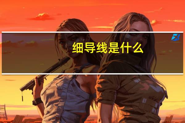 细导线是什么