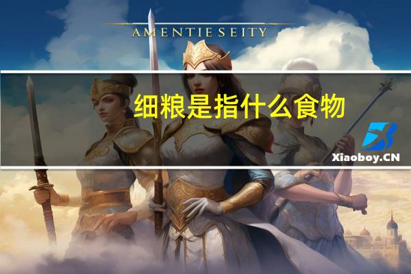 细粮是指什么食物