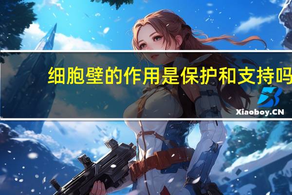 细胞壁的作用是保护和支持吗