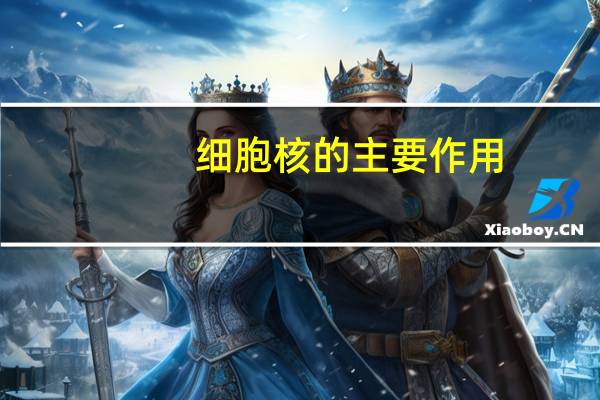 细胞核的主要作用