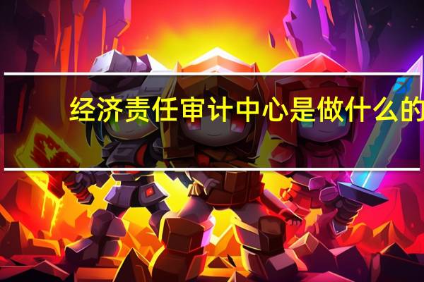 经济责任审计中心是做什么的