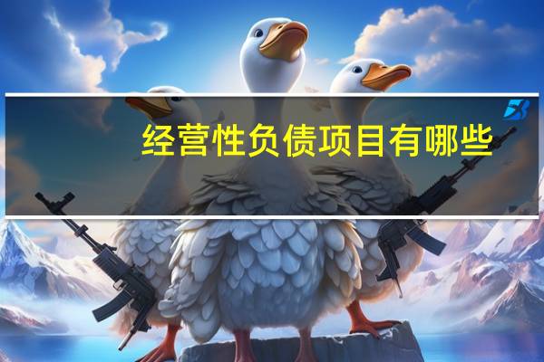 经营性负债项目有哪些