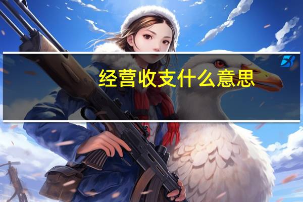 经营收支什么意思