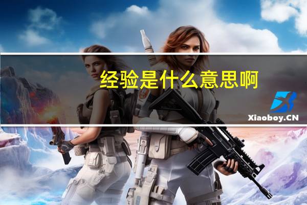 经验是什么意思啊