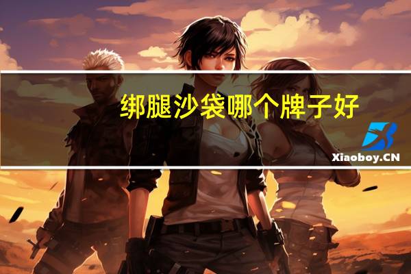 绑腿沙袋哪个牌子好