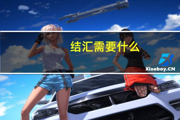 结汇需要什么
