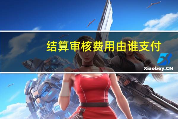 结算审核费用由谁支付