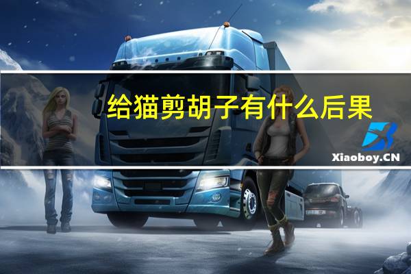 给猫剪胡子有什么后果