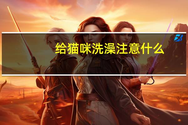 给猫咪洗澡注意什么