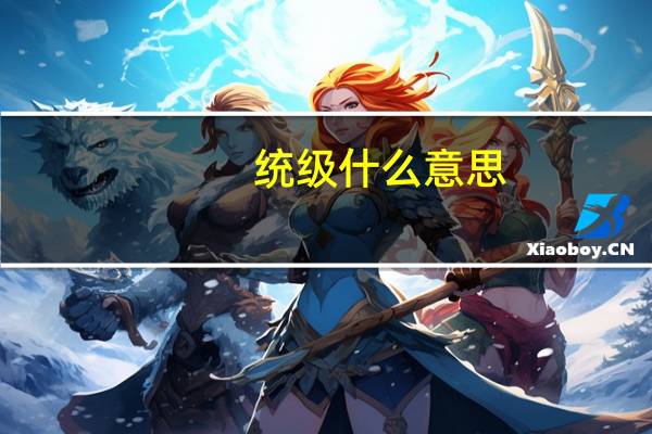 统级什么意思