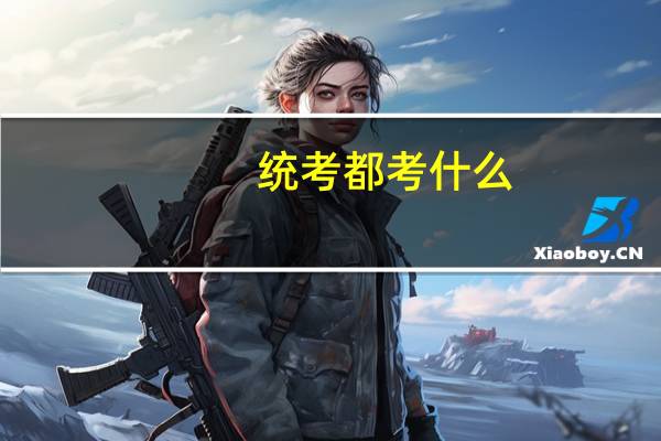 统考都考什么
