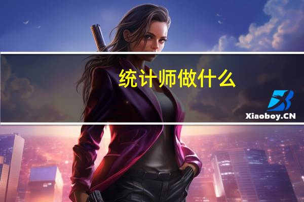 统计师做什么