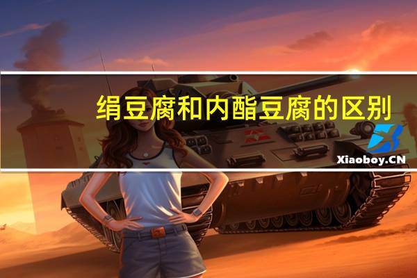 绢豆腐和内酯豆腐的区别